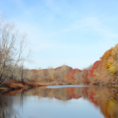 Autumn leaves reflecting an impoundment lake. USFWS via Flickr Public Domain