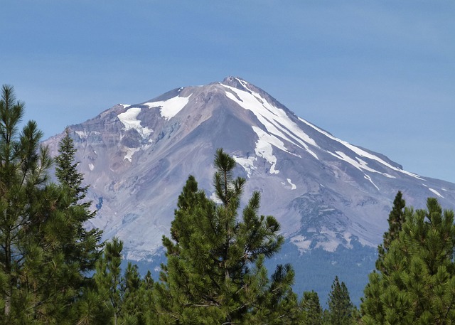 Mount Shasta 