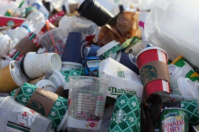 discarded coffee cups in trash discarded coffee cups in trash