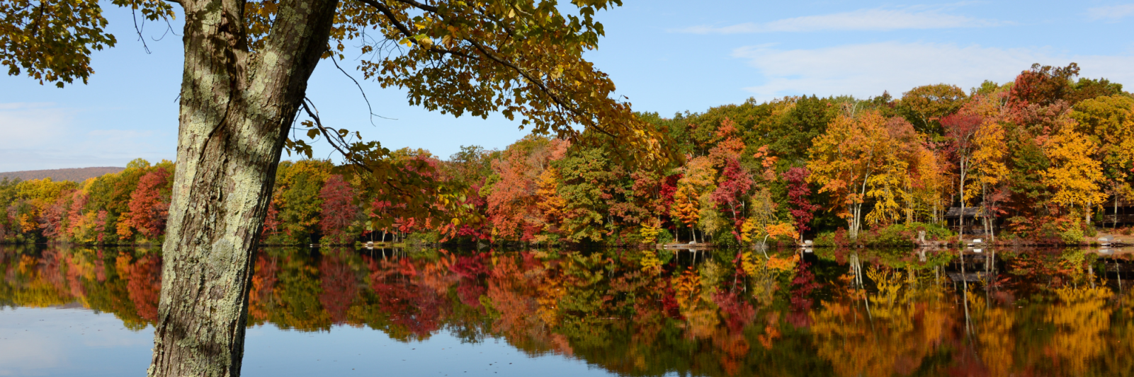 Autumn trees reflected on a lake