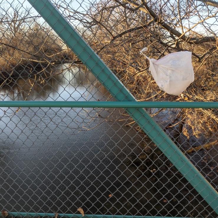 Plastic bag caught on fence by river. Credit: Jennifer Schlicht