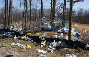 Plastic bags littering trees Plastic bags littering trees