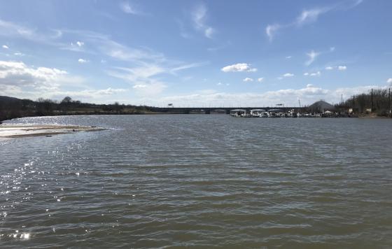 A view of the Anacostia River with Anacostia Park on the left and Seafarer's Yacht Club on the right