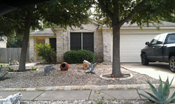 Xeriscape Desert example #1 Xeriscape Desert example #1