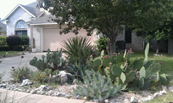 Xeriscape Desert example #3 Xeriscape Desert example #3
