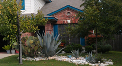 Xeriscape Desert example #4 Xeriscape Desert example #4