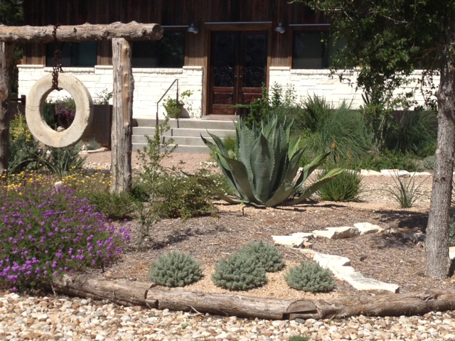 Xeriscape Texas Pride example #2 Xeriscape Texas Pride example #2