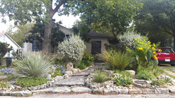 Xeriscape Texas Pride example #4 Xeriscape Texas Pride example #4