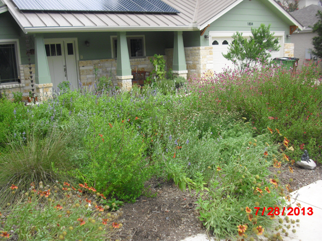 Xeriscape Cottage example #1 Xeriscape Cottage example #1