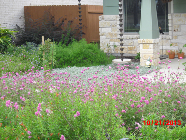 Xeriscape Cottage example #2 Xeriscape Cottage example #2